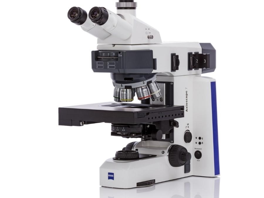 Microscopio