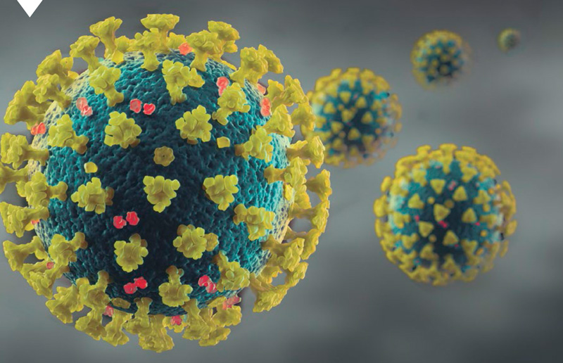 Virus