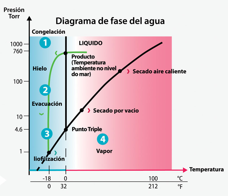 liofilización